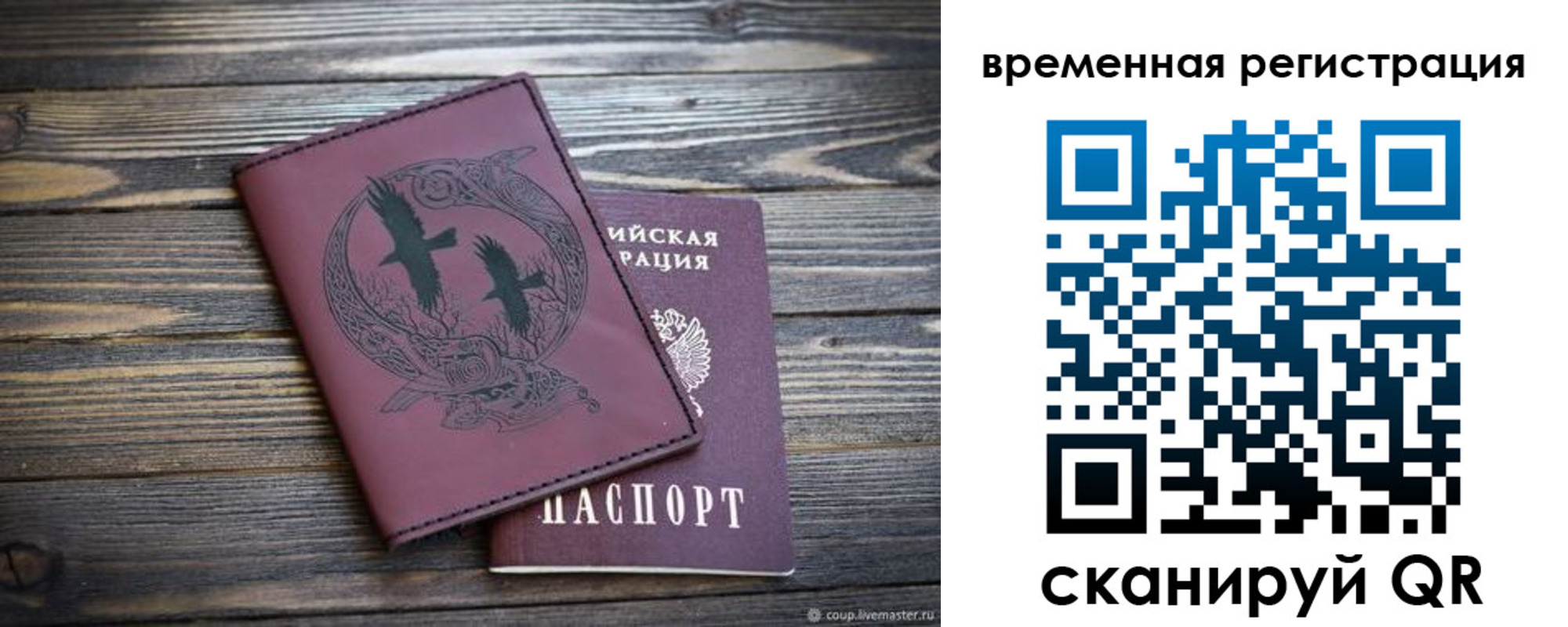прописка в Сланцах
